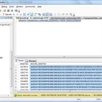 SQL Server Transparent Data Encryption ( TDE )