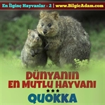 Dünyanın En Mutlu Hayvanı - Quokka