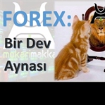 FOREX: Bir Dev Aynası!