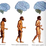 Homo Sikkos
