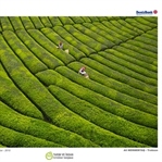 Tarım ve İnsan Fotoğraf Yarışması Sonuçlandı!