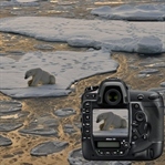 Yeni Nikon D5 İnceleme