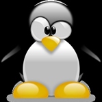 Linux Dizinleri