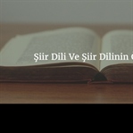 Şiir Dili Ve Şiir Dilinin Özellikleri
