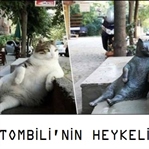 Tombili Kedi'nin Anısına Heykel Yaptılar