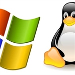 Windows mu? Linux mu?