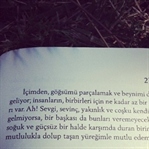 Genç Batu'nun Acıları
