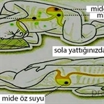 Sağlıklı bir uyku için yatış şeklinize dikkat edin