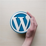 WordPress Tema Seçerken Dikkat Edilmesi Gerekenler