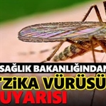 Zika Virüsü Tehlike Saçıyor! Hamileler Dikkat!