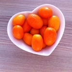 Mini Mini Kumkuat