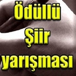 Türkiye'deki Belli Başlı Şiir Ödülleri Yarışmaları