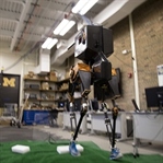 Engebeli Araziyi Alt Edebilen Robot Geliştirdiler