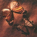 Romantika – Turgut ÖZAKMAN