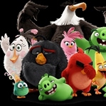 Sinekritik: Angry Birds Movie