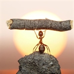 Motivasyon Nedir? Motivasyonu Arttırmanın Yolları