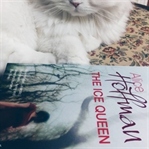 The Ice Queen - Alice Hoffman