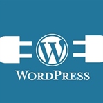 En İyi 20 Wordpress Eklentisi