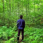 Kuzuyayla Tabiat Parkı Kamp Rehberi