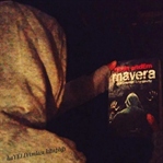 MAVERA