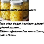 ROMATİZMA İÇİN DOĞAL KARIŞIM