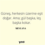 Mevlana Celaleddin Rumi ve yedi değerli sözü