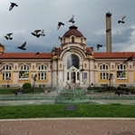 Sofya… Hiç Seveceğimiz Yoktu.