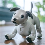 Sony’nin Robot Köpeği Aibo Geri Döndü