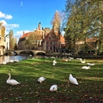 Bir Masalın Peşinde Brugge