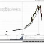 Bitcoin Yükselecek Mi Düşecek Mi?