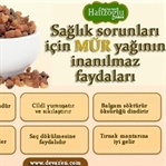 Mür Yağının Sağlığımıza İnanılmaz Faydaları