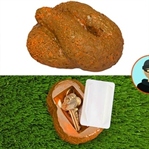 İnsanların En Yaratıcı Saklama Yerleri