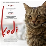 Yedi Tepeli Şehirde Yedi Kedi