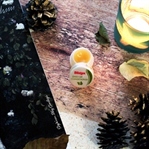Blistex Daily Lip Conditioner | Dudak Kremi