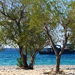 48 Saatlik Huzur ve Bodrum!