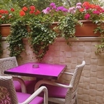 Pembe Flamingo Cafe ♡