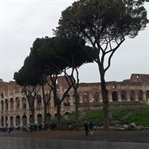 Roma Gezilecek Yerler
