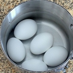 Yumurtaların Taze Olduğu Nasıl Anlaşılır?