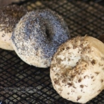 Bagel