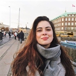Danimarka Vizesi Nasıl Alınır? – VFS Global