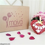 Moiva / Mutlu Olmak İçin Varsın!