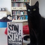 Son Şura - Sezgin Kaymaz