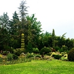 İstanbul'a Yakın Nefes Kaynağı… Karaca Arboretumu…