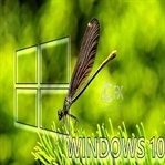 Windows 10 Programlar Çalışmıyor