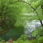 Yedigöller
