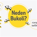 Bukoli Kapandı ! İnternet Dünyası Can Alıyor
