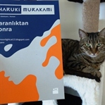 En İyi Arkadaş?