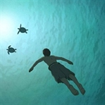 La Tortue Rouge (2016) | İnceleme