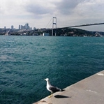 İstanbul'da Doğaya ve Tarihe Yolculuk