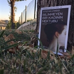 Bilinmeyen Bir Kadının Mektubu